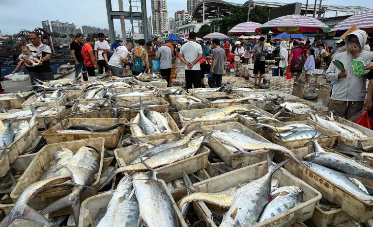 海鮮運輸溫濕度監控